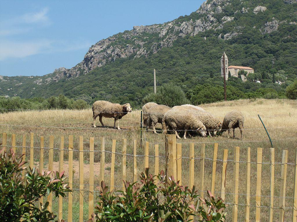 Clos Simoni Figari  Buitenkant foto