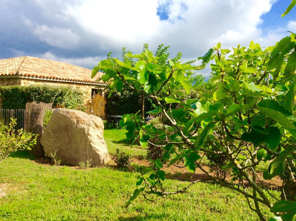 Clos Simoni Figari  Buitenkant foto